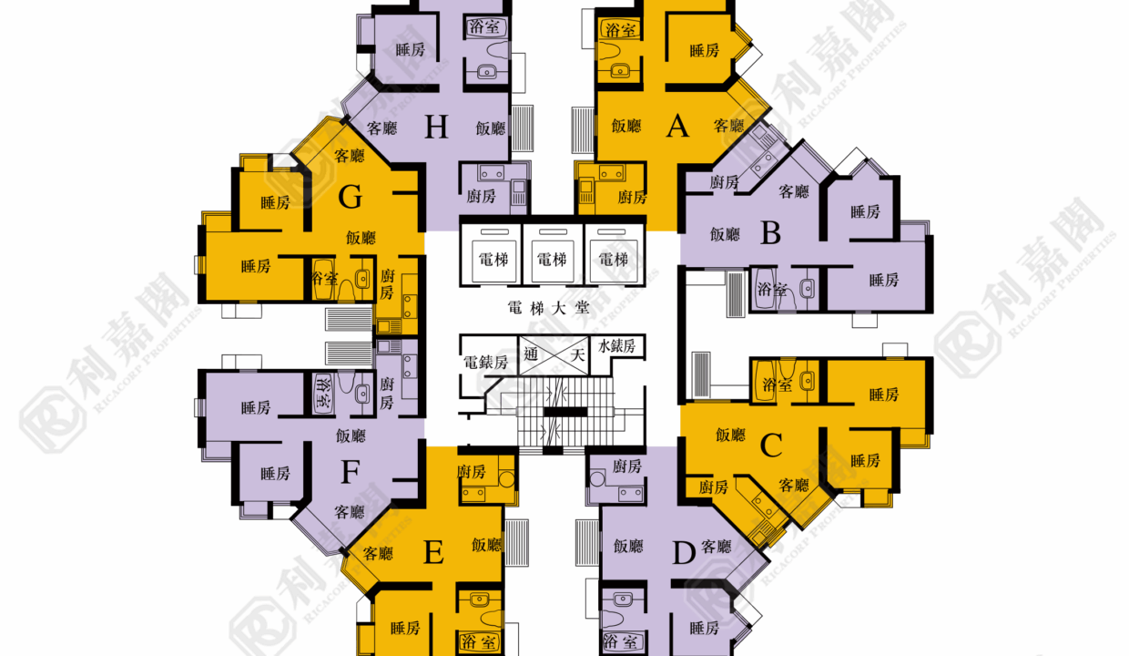 40409_2000_Ricacorp-10.png