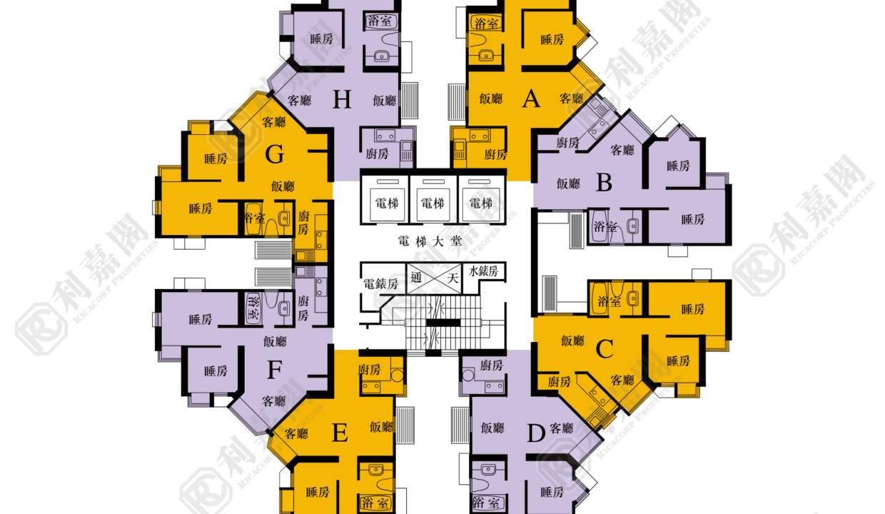 40409_2000_Ricacorp-6.png