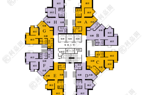 40409_2000_Ricacorp-6.png
