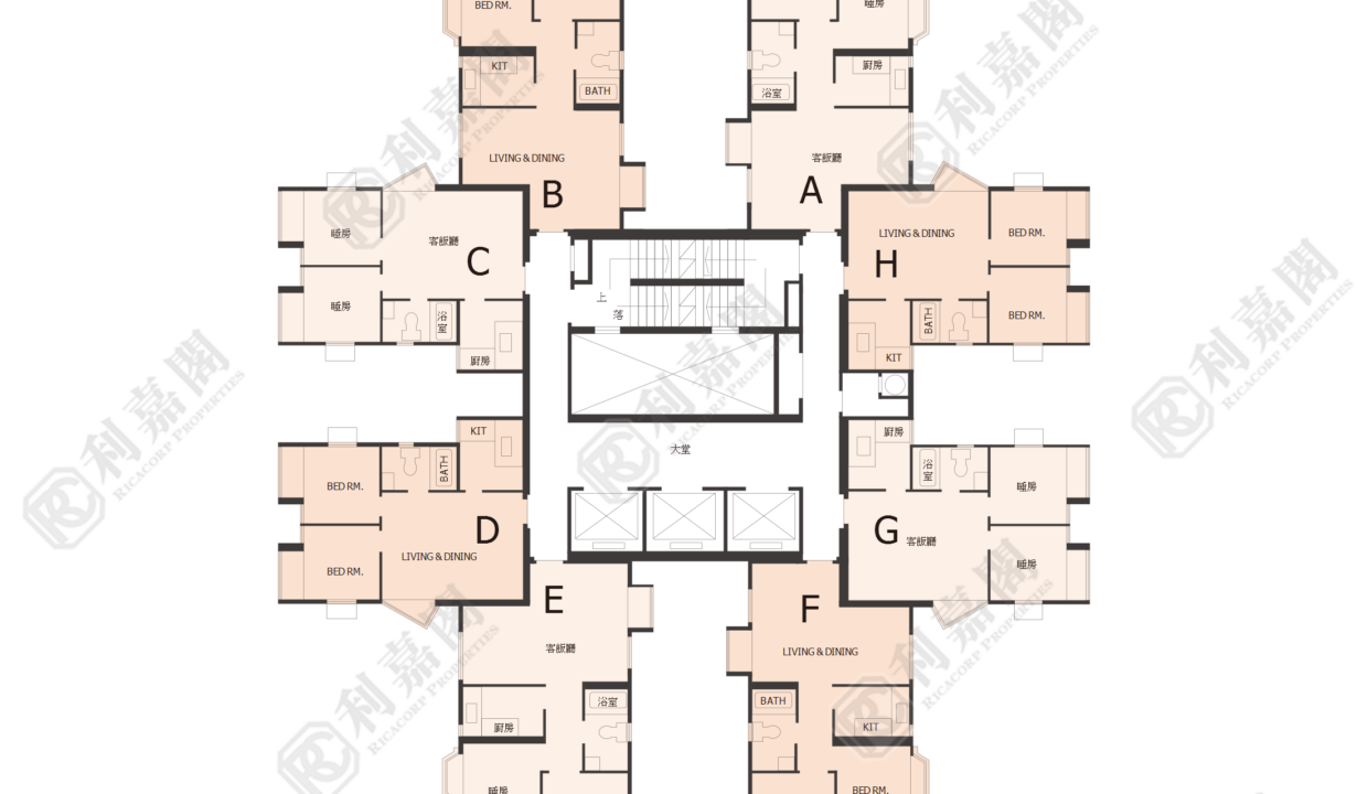 40561_2000_Ricacorp-4.png