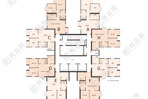 40565_2000_Ricacorp-7.png