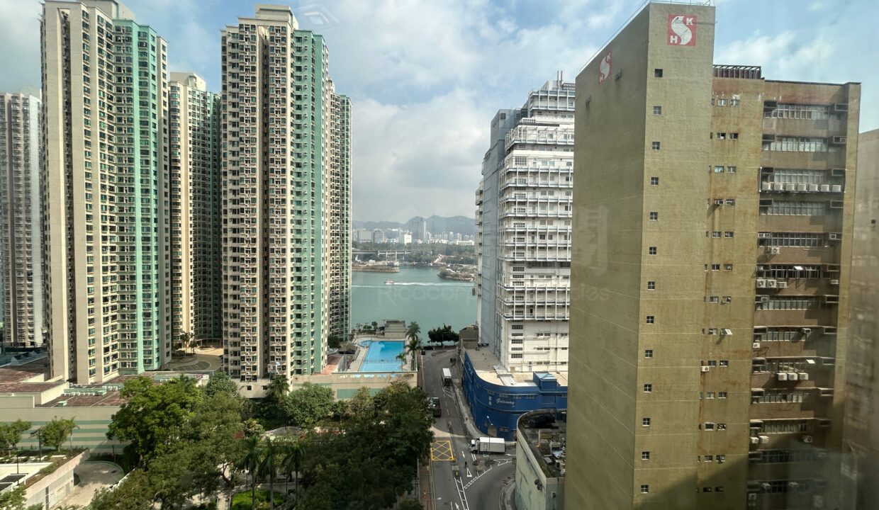 465913b0-7be7-4d10-b281-dc0a62ab83c1.jpeg
