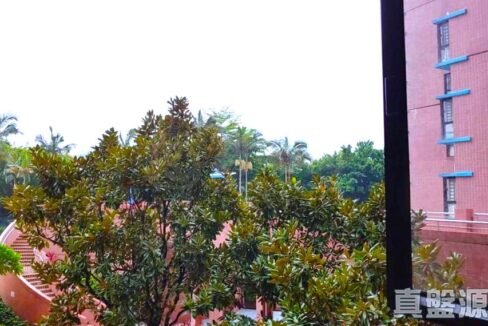 6a049c54-7ee3-448c-ab17-770bc5b8d0f2-1.jpeg