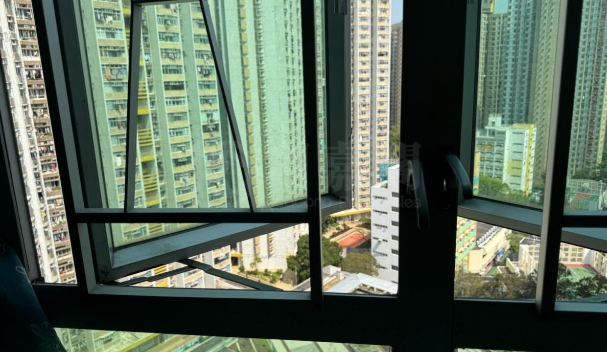 6b195d3b-e596-4b09-ae7e-a39449070302.jpeg