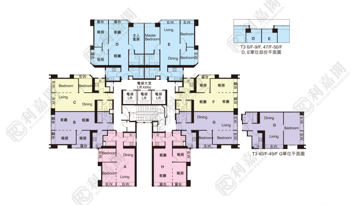 72615_2000_Ricacorp-7.png