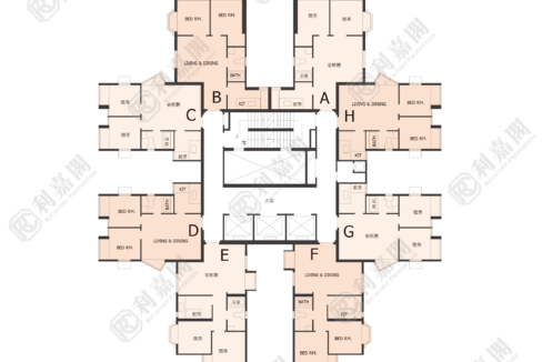 77354_2000_Ricacorp-1.png