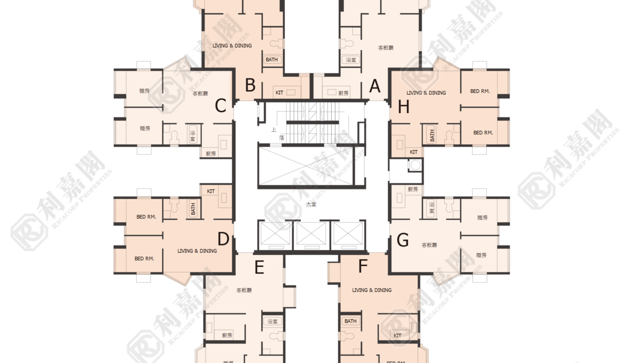 77354_2000_Ricacorp-4.png