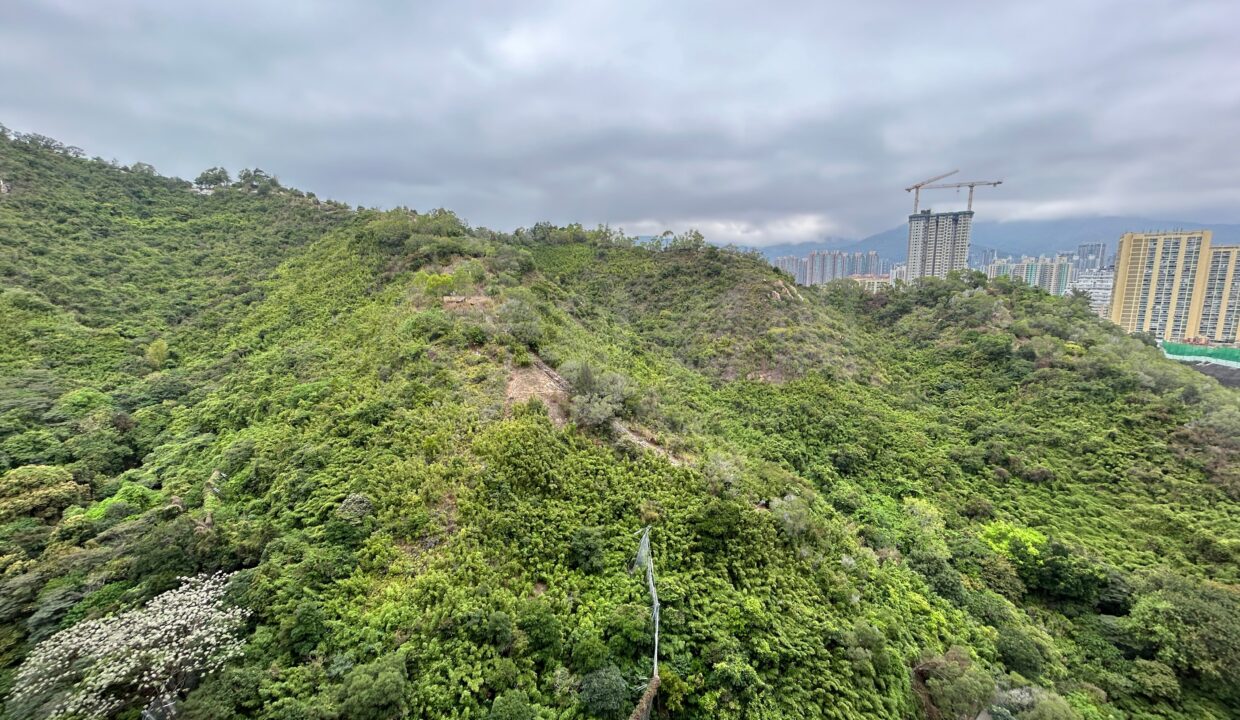 79e4da2b-6b85-4435-b18c-e52cc0d03867.jpeg