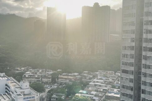 86b24f05-0f21-4802-a8be-f21d61585464.jpeg