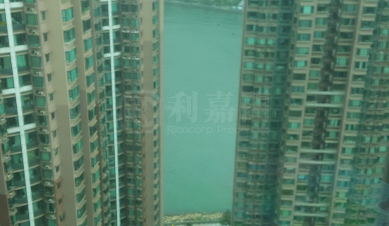 88f47ae0-fa10-4953-990b-a559cc115941.jpeg