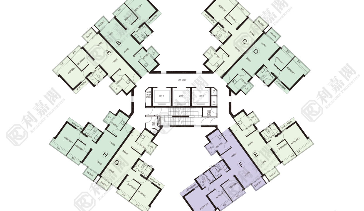99964_2000_Ricacorp.png