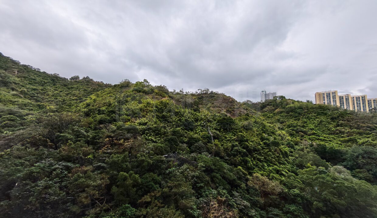 9c2972bf-4116-4e8c-b365-7b706ab23b6e-1.jpeg