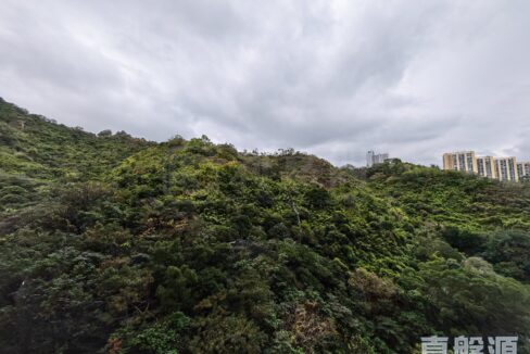 9c2972bf-4116-4e8c-b365-7b706ab23b6e-1.jpeg