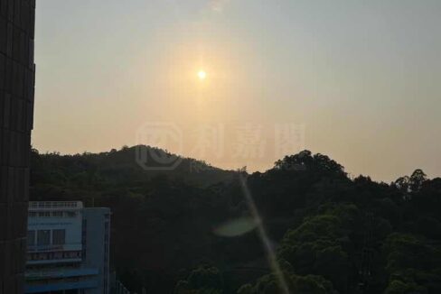b187c712-d54e-480f-b20a-ff42d18c3774.jpeg