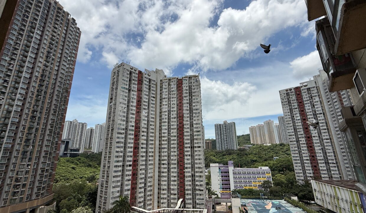 c286498a-c17b-49db-9828-da5a2029faea.jpeg