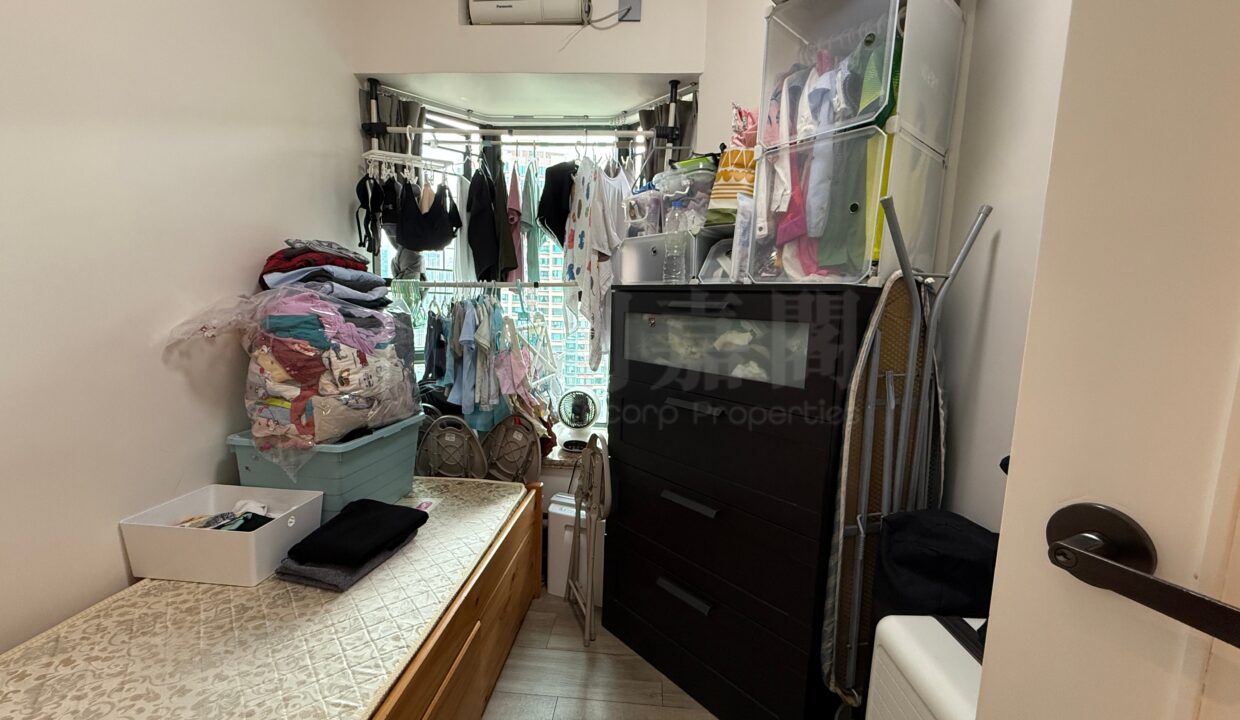 c54d3cf7-a502-40db-aae1-db29ddfbb0af-1.jpeg