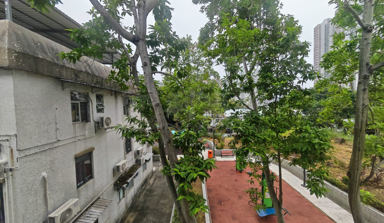 c608fb3d-0ab4-4061-889c-4155a9701087-1.jpeg
