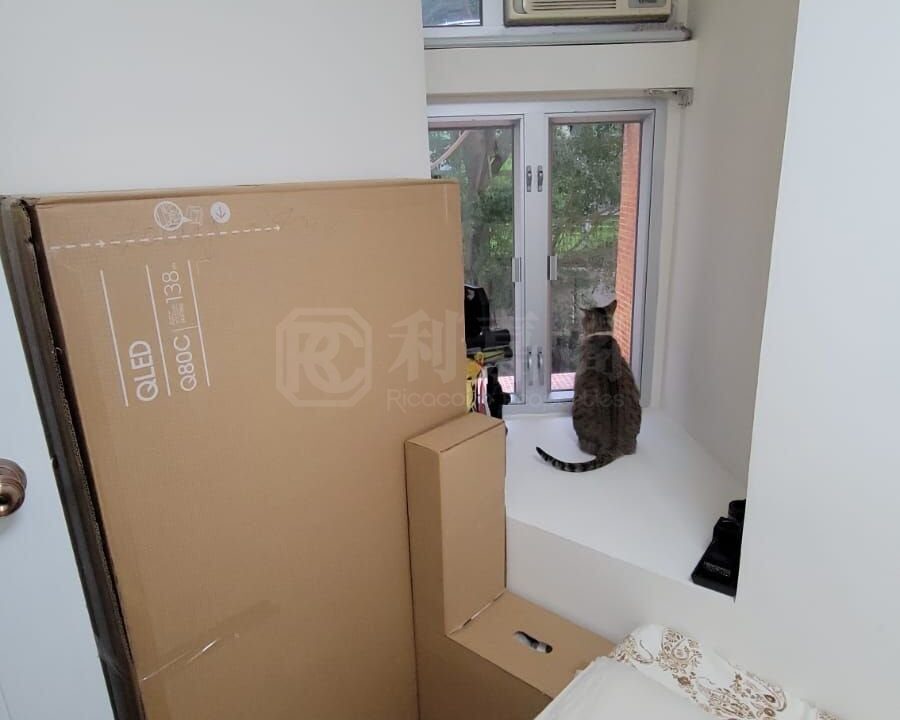 d00ae91d-f341-4ac7-9f2d-baed74f2ed2d.jpeg