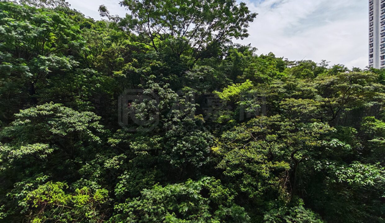d06b6e92-110d-453d-8e81-c5c6a2dddc46-1.jpeg
