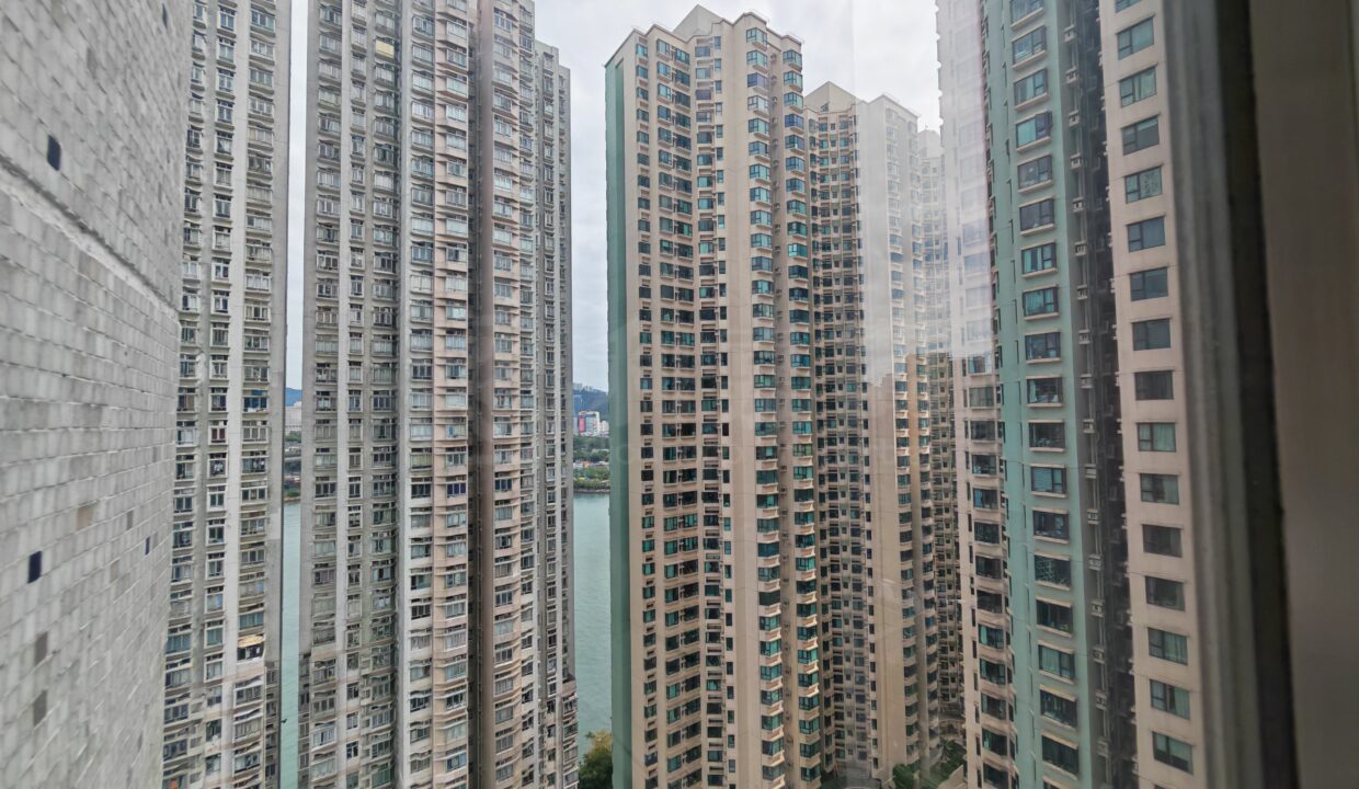 d8a2c212-e824-478c-a77d-4d777d7aea67-1.jpeg