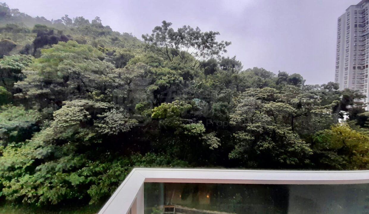 e229f33c-5321-4b0d-a94d-df87888d45f1-1.jpeg