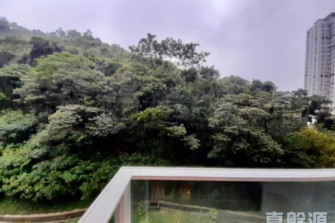 e229f33c-5321-4b0d-a94d-df87888d45f1-1.jpeg