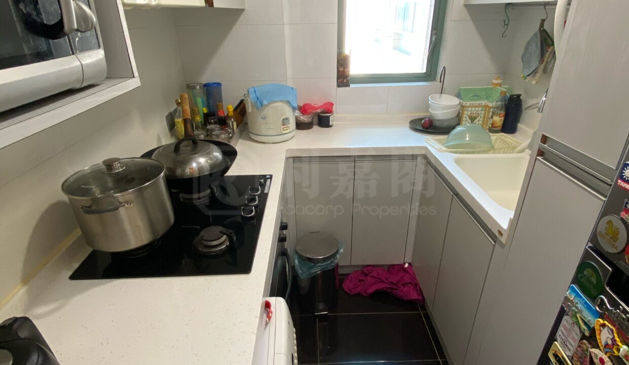 e79b0387-efee-4c95-a24e-1ca4179b34f2.jpeg