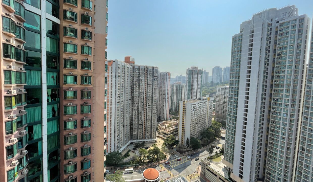 f0b90603-c19d-4716-a9f0-8754ab0f43cf-1.jpeg