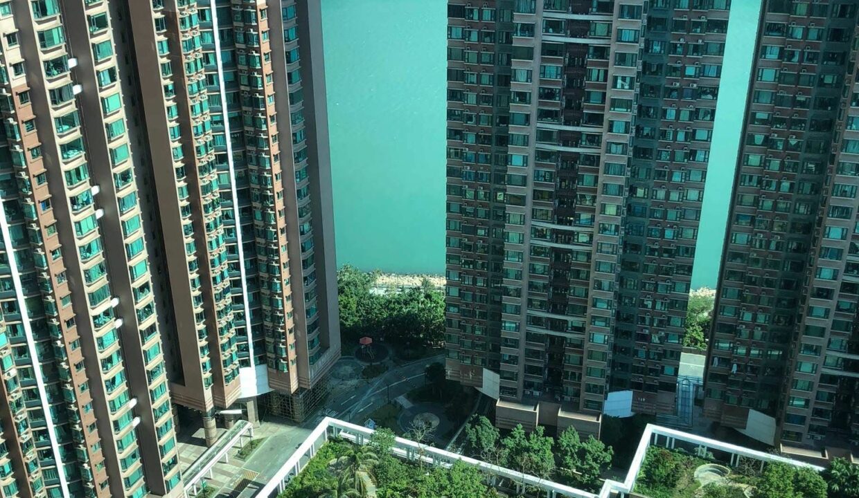 432d02dc-96bd-4b52-b137-3e5a63300590