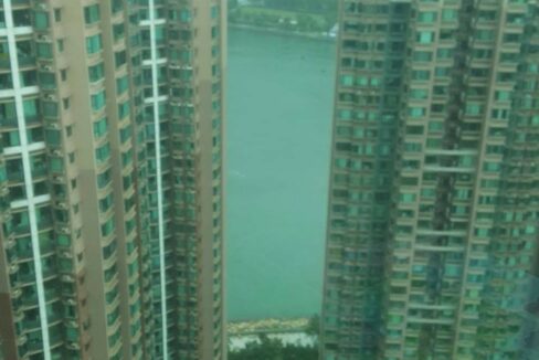 491A1380-EFE5-47B4-AF4E-8DB775BA1E22