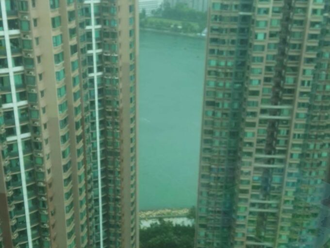 491A1380 EFE5 47B4 AF4E 8DB775BA1E22