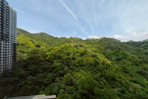 611266736_122109543345166725_8327158160843794868_n