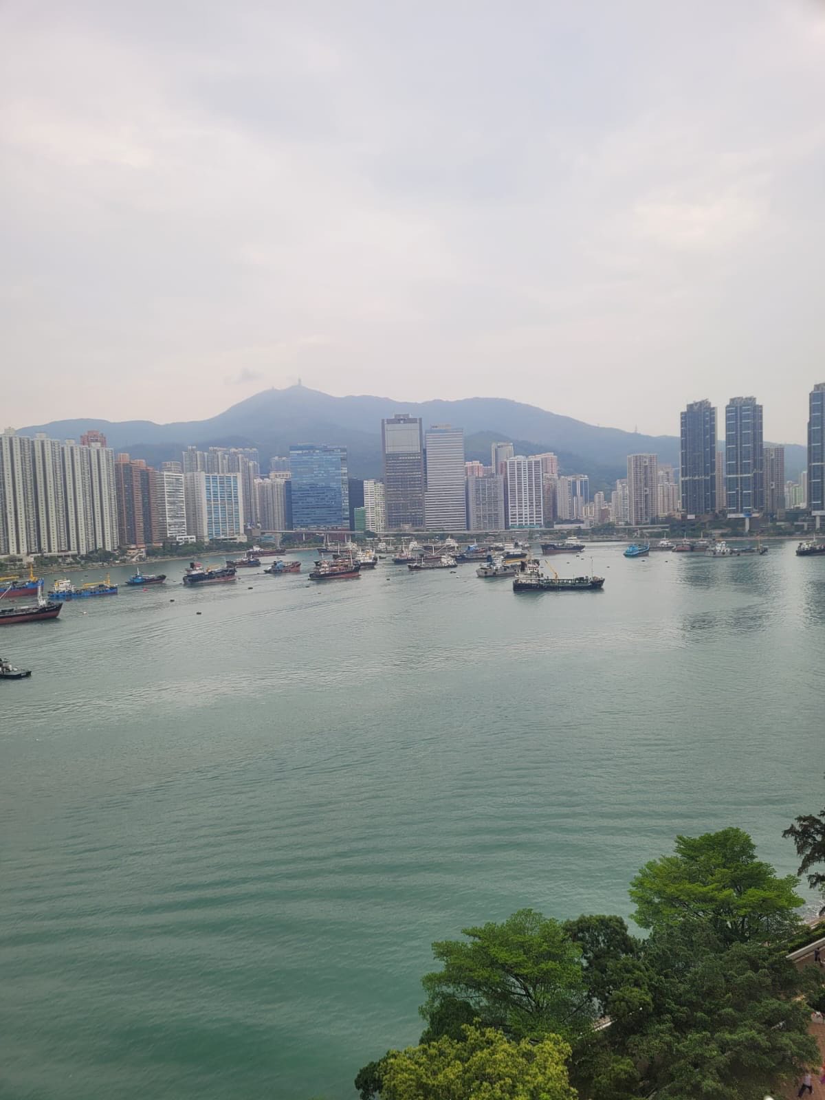 623856069 122094152601250787 5130014115532292848 n