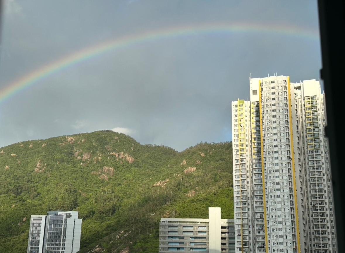 626296238 122094145917250787 7832561614830505636 n