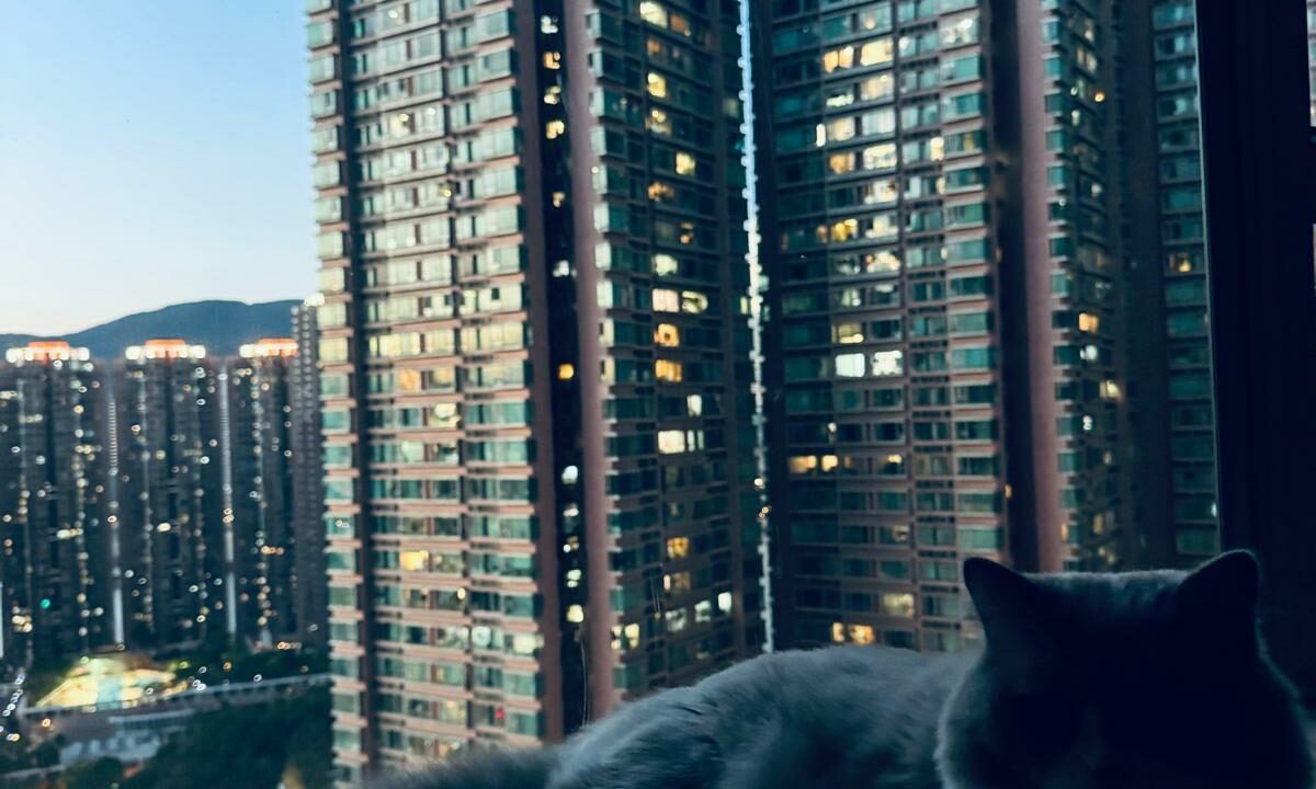 83aa6102-f443-47b5-ba3c-5d0a4cb53b3c