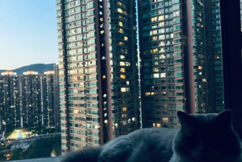 83aa6102-f443-47b5-ba3c-5d0a4cb53b3c