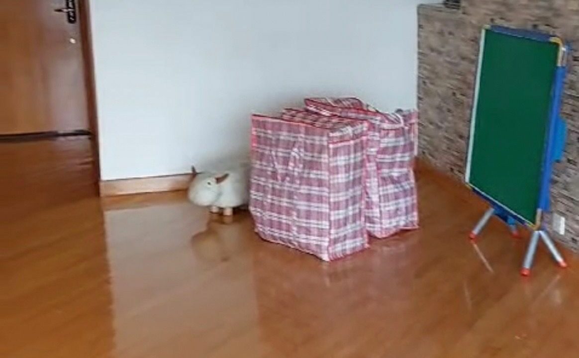 894e83b7-8be5-40fd-b2ac-6b3e4e6774fa