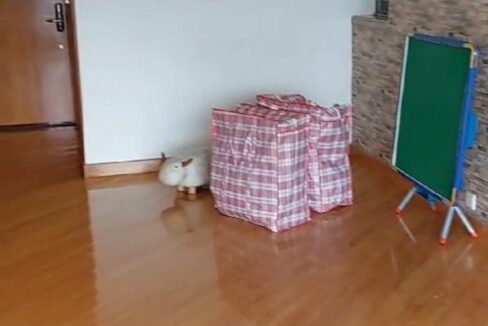 894e83b7-8be5-40fd-b2ac-6b3e4e6774fa