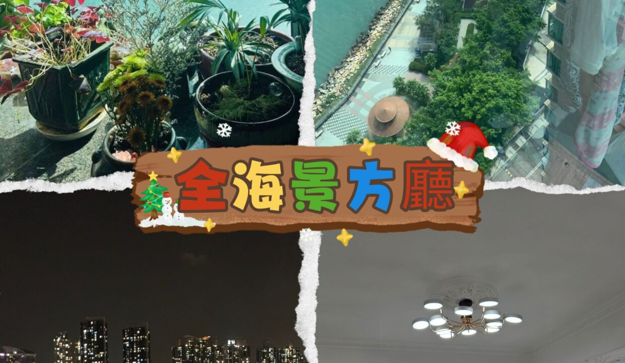 MEITU_20251223_174137332