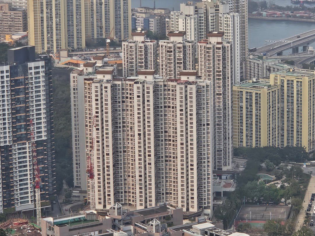 Mayfair Gardens in March 2024 1
