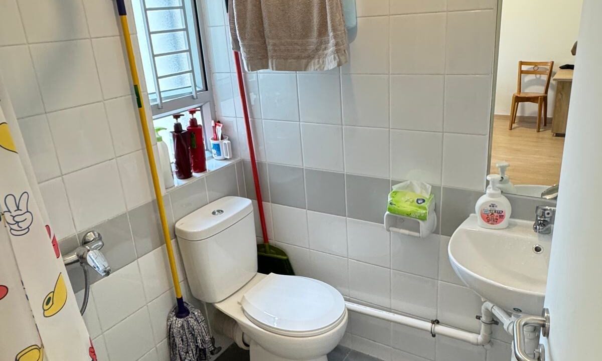 WhatsApp Image 2026-04-09 at 16.50.59 (3)