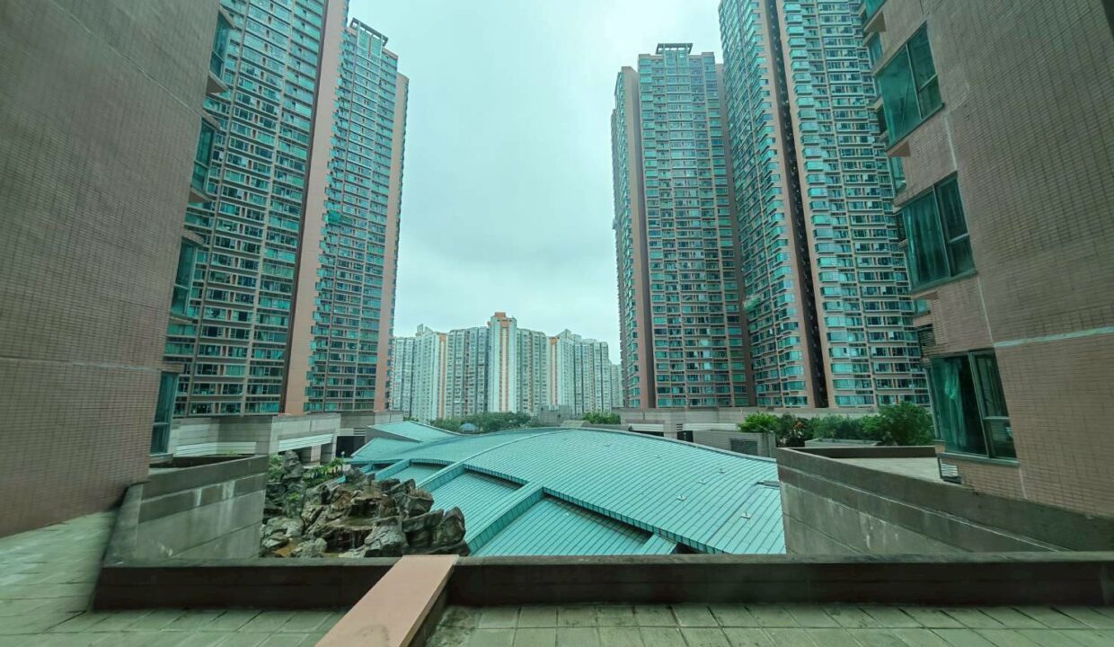 WhatsApp Image 2026-04-10 at 16.32.42