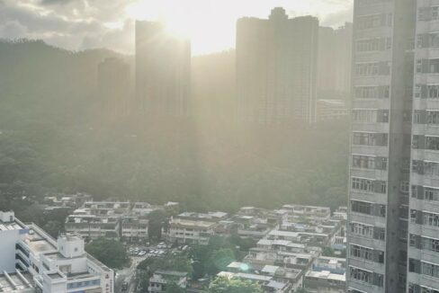 WhatsApp Image 2026-04-12 at 11.52.10 (2)