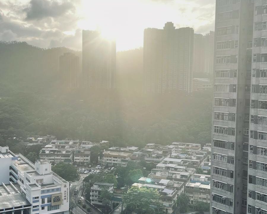 WhatsApp Image 2026-04-12 at 11.52.10 (2)