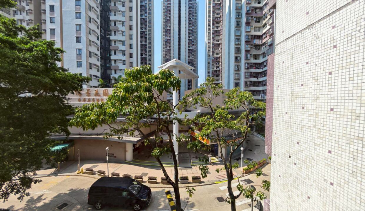 WhatsApp Image 2026-04-15 at 17.26.14 (2)