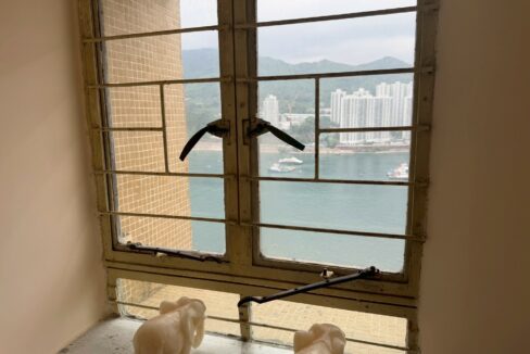 WhatsApp Image 2026-04-21 at 15.29.02 (1)