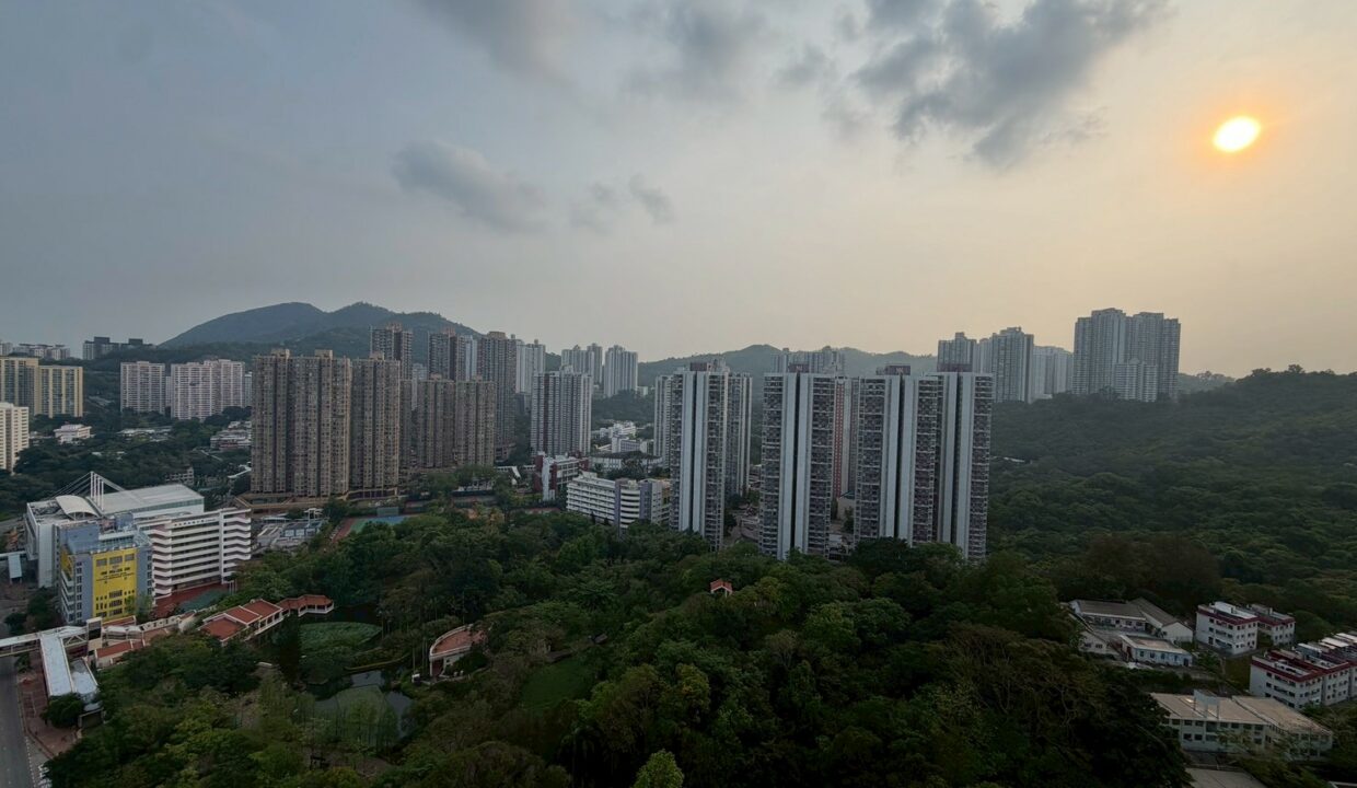 WhatsApp Image 2026-04-22 at 15.01.57 (3)