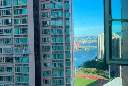 WhatsApp Image 2026-04-26 at 10.04.50 (4)