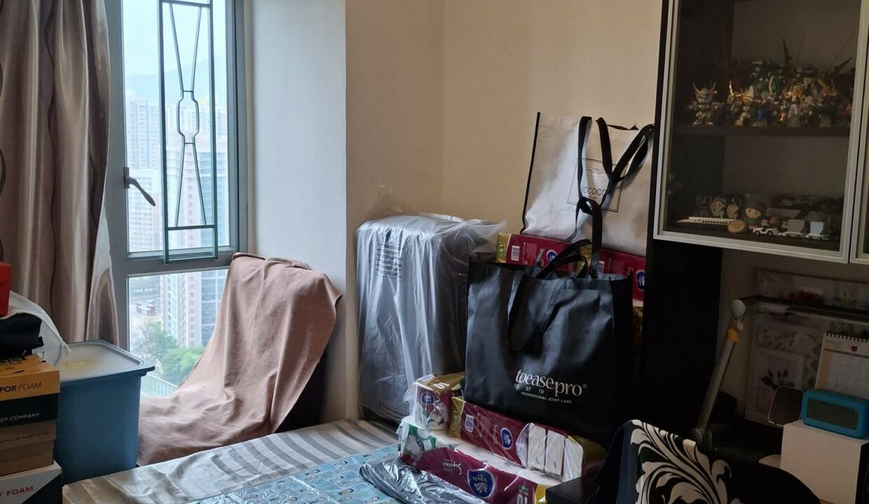 WhatsApp Image 2026-04-26 at 11.12.37