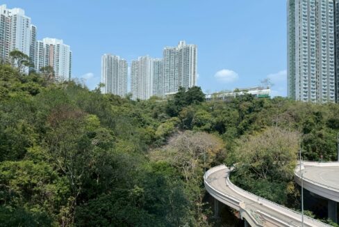 WhatsApp Image 2026-04-29 at 17.29.50